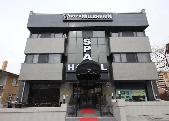 Koza Millenyum Hotel&spa 4* Ancara