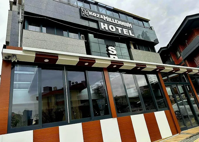 Koza Millenyum Hotel&spa 4* Ancara