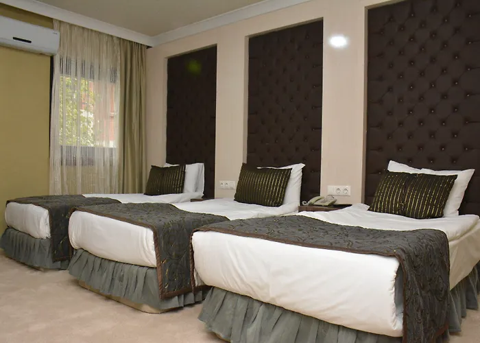 Koza Millenyum Hotel&spa 4* Ancara