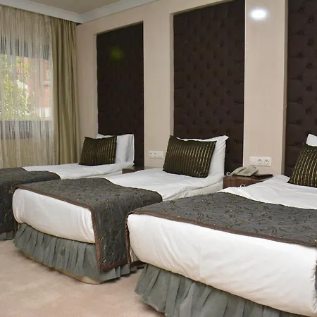 Koza Millenyum Hotel&spa ホテル アンカラ