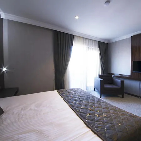 ホテル Koza Millenyum Hotel&spa