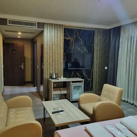 ホテル Koza Millenyum Hotel&spa アンカラ