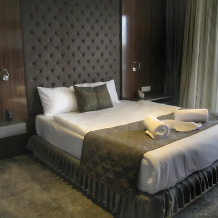 Koza Millenyum Hotel&spa 4* アンカラ