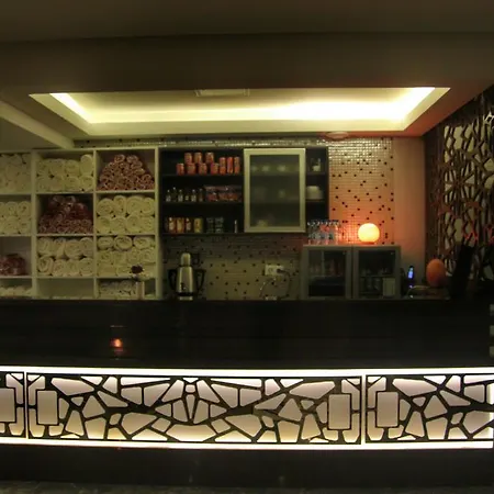 Koza Millenyum Hotel&spa Szálloda Ankara