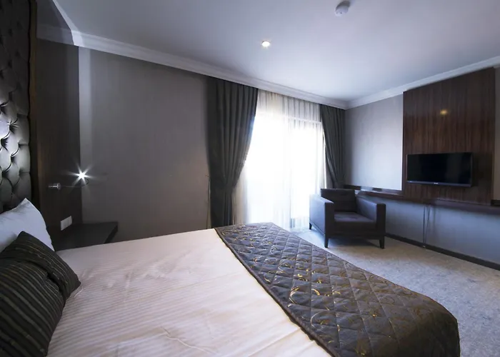 Hotel Koza Millenyum Hotel&spa