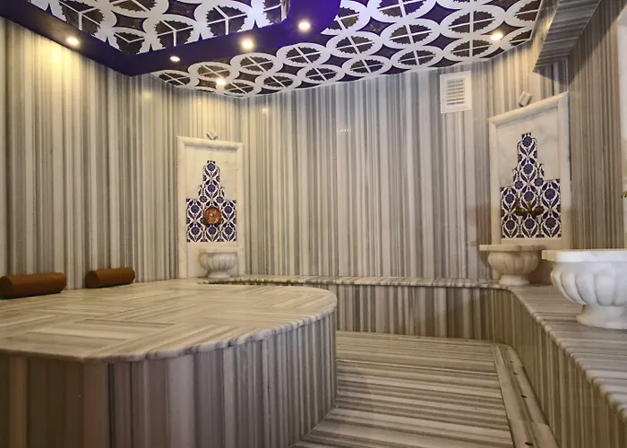 Hotel Koza Millenyum Hotel&spa