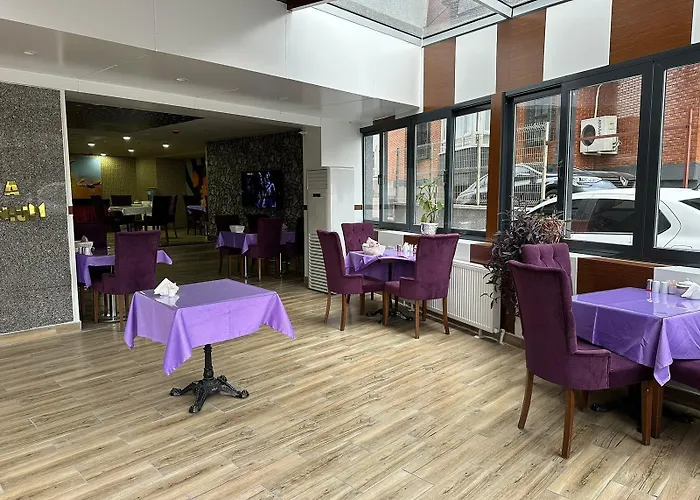 Hotel Koza Millenyum Hotel&spa