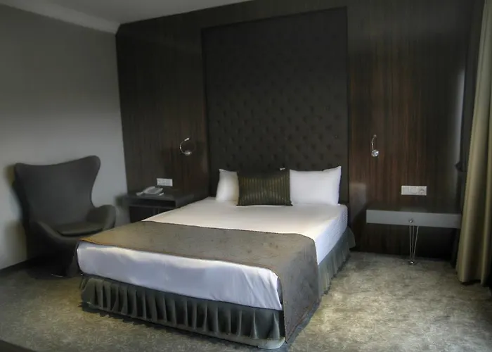 Ξενοδοχείο Koza Millenyum Hotel&spa