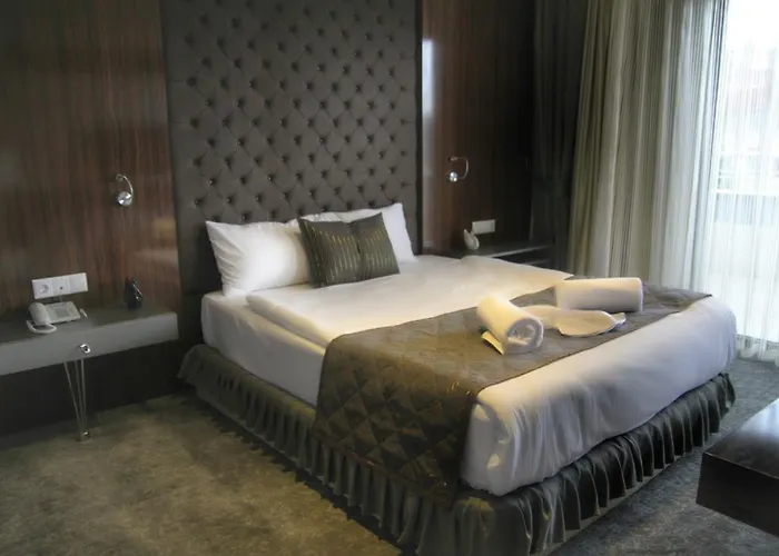 Koza Millenyum Hotel&spa 4* Ankara