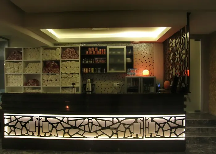 Koza Millenyum Hotel&spa Szálloda Ankara