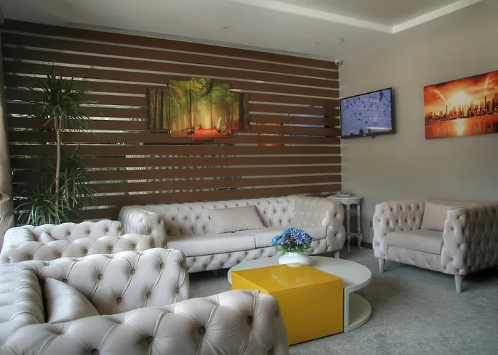 Koza Millenyum Hotel&spa 4* Ankara