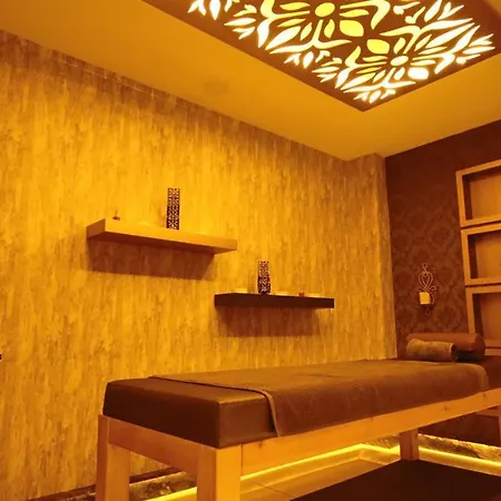 Koza Millenyum Hotel&spa 4* 安卡拉