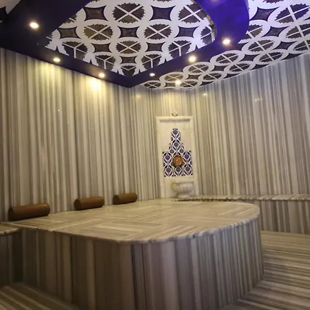 Koza Millenyum Hotel&spa 安卡拉