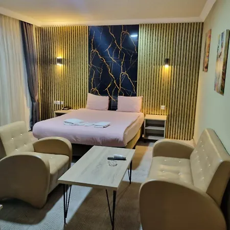 Koza Millenyum Hotel&spa 4* 安卡拉