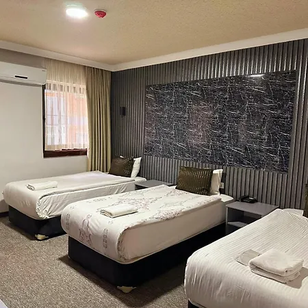 酒店 Koza Millenyum Hotel&spa 安卡拉