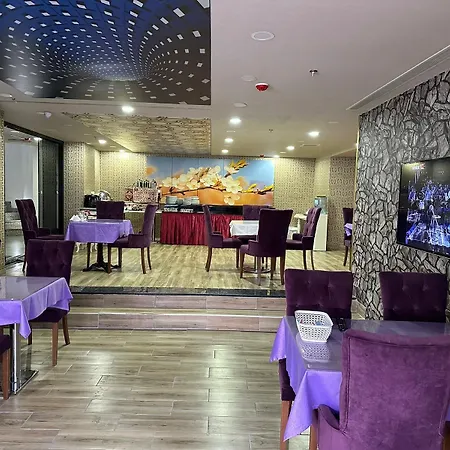 酒店 Koza Millenyum Hotel&spa 4*