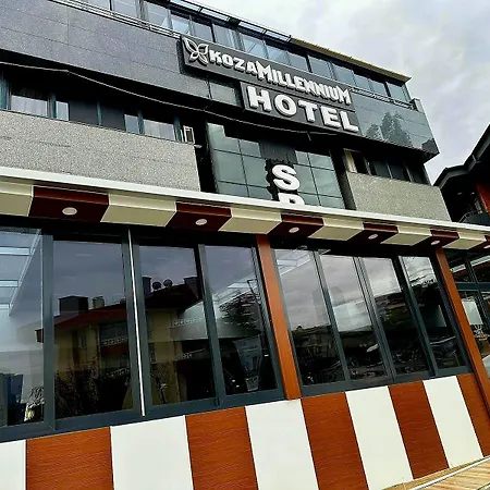 Koza Millenyum Hotel&spa 4* 安卡拉