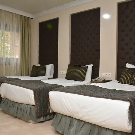 Koza Millenyum Hotel&spa 4* 安卡拉