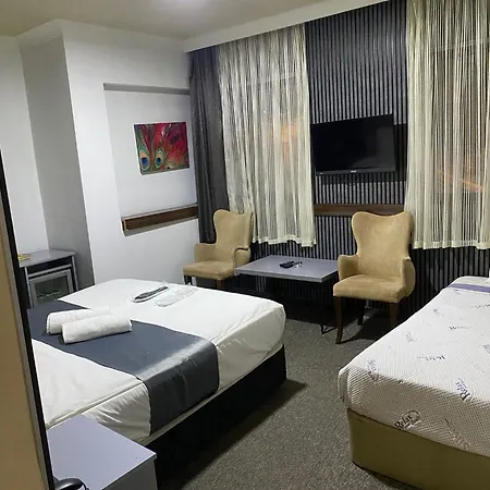 Koza Millenyum Hotel&spa ホテル 4*
