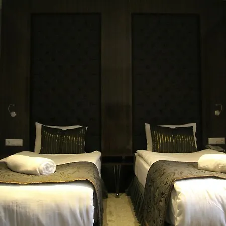 Koza Millenyum Hotel&spa 安卡拉