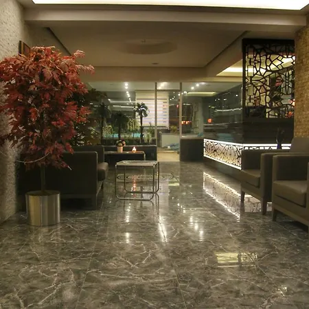 酒店 Koza Millenyum Hotel&spa 4*