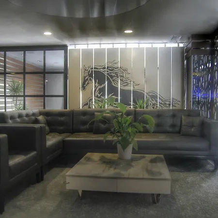 Koza Millenyum Hotel&spa 酒店