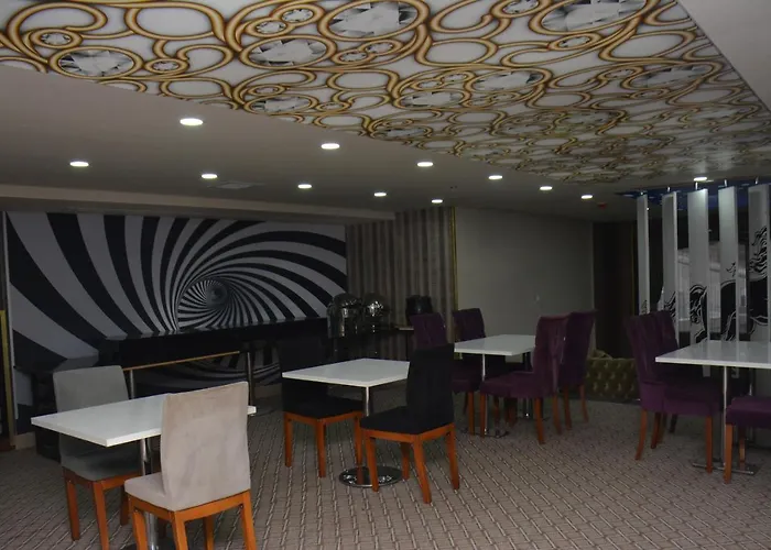 Koza Millenyum Hotel&spa 酒店