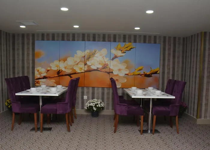 酒店 Koza Millenyum Hotel&spa 安卡拉