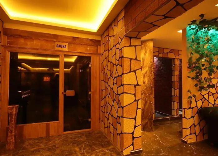 Koza Millenyum Hotel&spa 4* 安卡拉