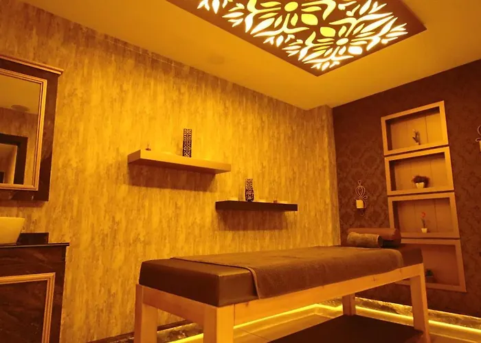 Koza Millenyum Hotel&spa 4* アンカラ