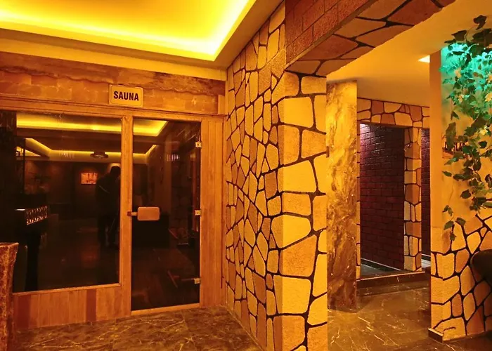 Koza Millenyum Hotel&spa ホテル アンカラ