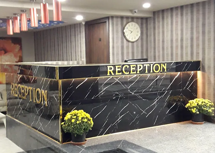 Koza Millenyum Hotel&spa 4* アンカラ