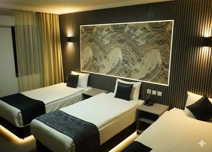 Koza Millenyum Hotel&spa ホテル アンカラ