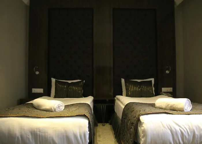 Koza Millenyum Hotel&spa アンカラ