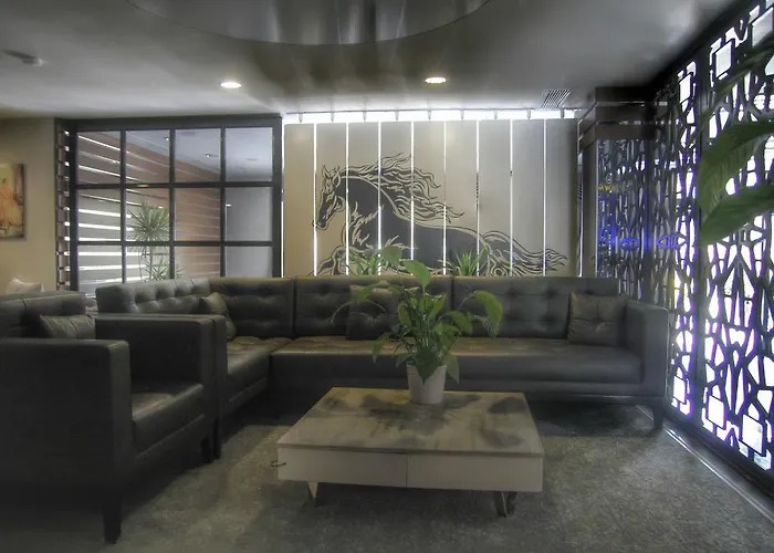 Koza Millenyum Hotel&spa ホテル